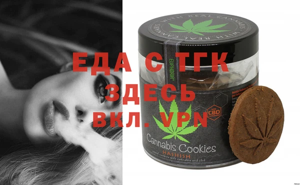 ECSTASY Алзамай