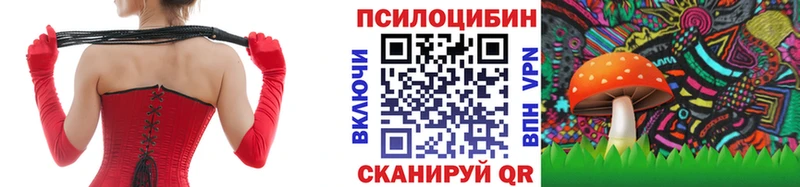 где купить наркотик  Александровск-Сахалинский  Галлюциногенные грибы Magic Shrooms 
